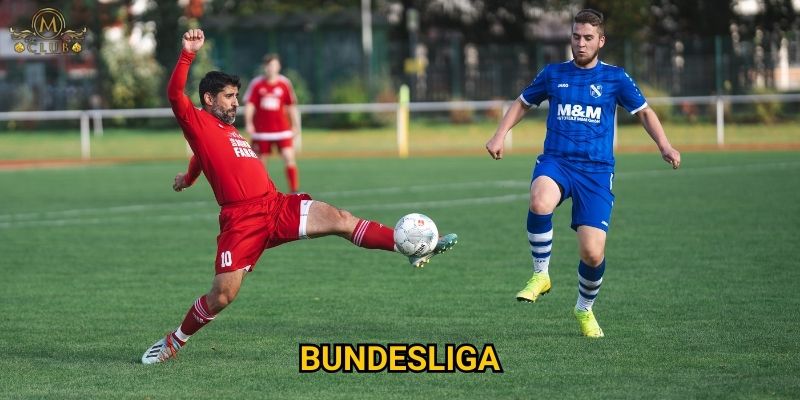 Tại sao bundesliga được yêu thích tại Mclub? 3 Tại sao bundesliga được yêu thích tại Mclub?
